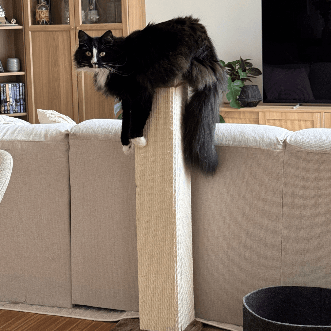 Heavy duty scratch tree